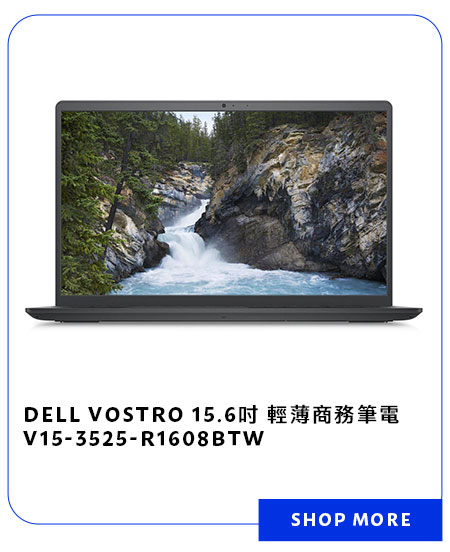 DELL VOSTRO 15.6吋 輕薄商務筆電 V15-3525-R1608BTW