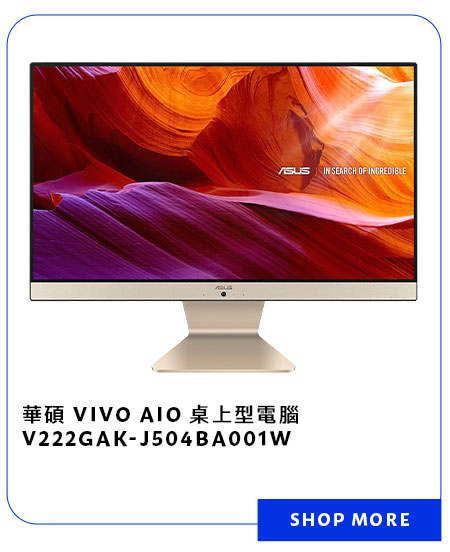 華碩 VIVO AIO 桌上型電腦 V222GAK-J504BA001W