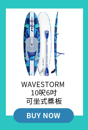 Wavestorm  10呎6吋可坐式槳板