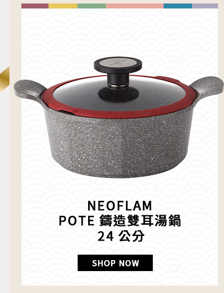 NEOFLAM POTE 鑄造雙耳湯鍋 24 公分