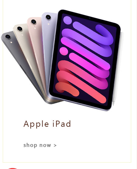 Apple iPad