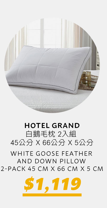 HOTEL GRAND 白鵝毛枕 2入組 45公分 X 66公分 X 5公分