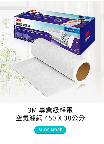 3M 專業級靜電空氣濾網 450 X 38公分