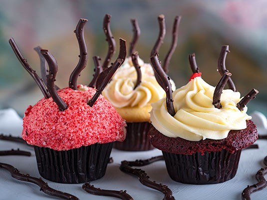 ChefShop Cocoa Powder