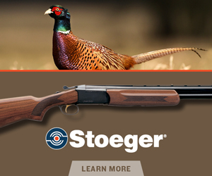 Benelli