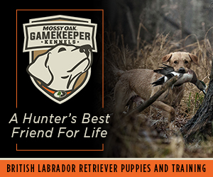 Mossy Oak Gamekeeper Hennels: A Hunter's Best Friend for Life