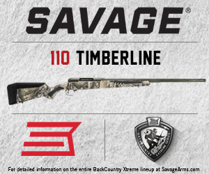 Savage Model110