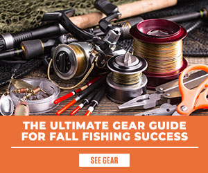 Ultimate Gear Guide for Fall
