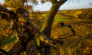 4 Important Keys to Deer Success This Fall