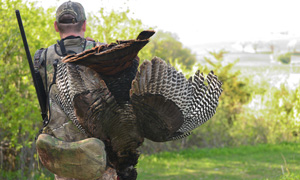 3 Run & Gun Mistakes Every Turkey Hunter Makes