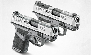 New: Two-Tone Stainless-Steel Springfield Hellcats